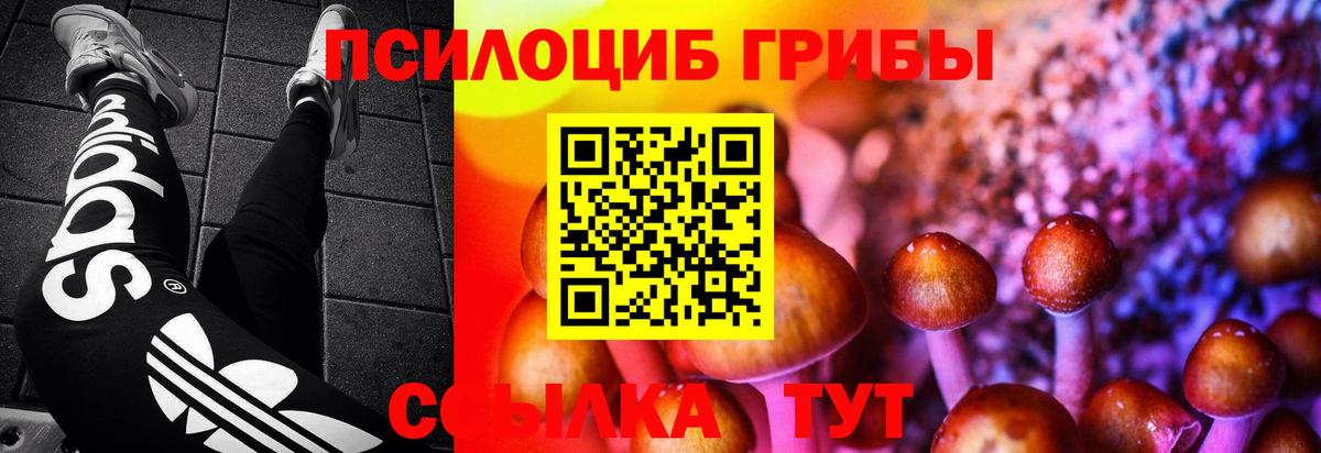 Псилоцибиновые грибы GOLDEN TEACHER  цена наркотик  Ленинск-Кузнецкий  Вход с VPN 